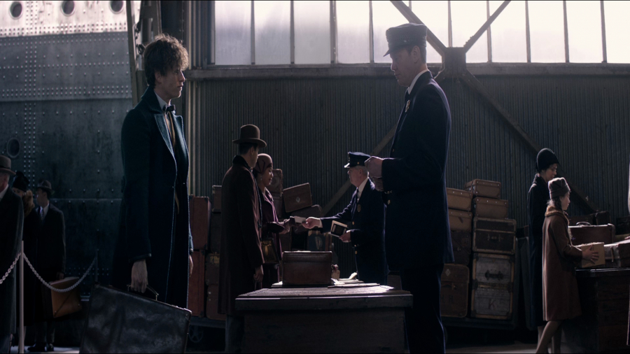 fantastic_beasts_and_where_to_find_them_hd_screencaps-20-1-900x506